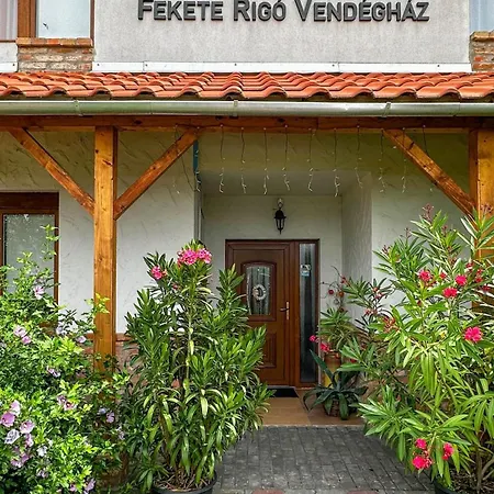 Fekete Rigó Egerszalók