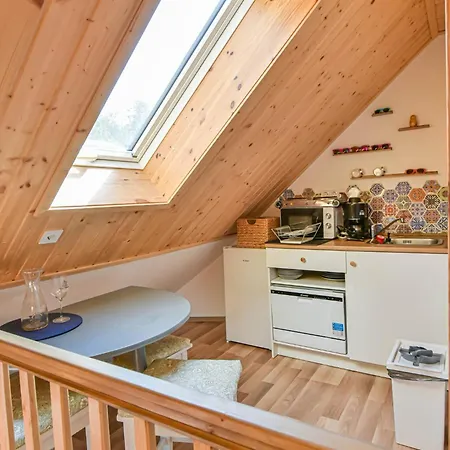 Fekete Rigó Apartamento *